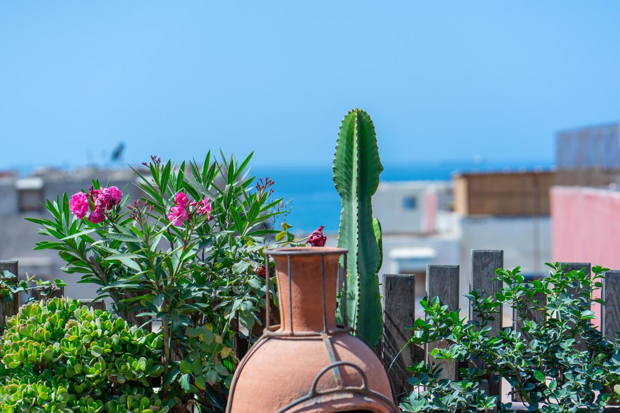 Anza Surfhouse Bed & Breakfast Agadir Exterior photo